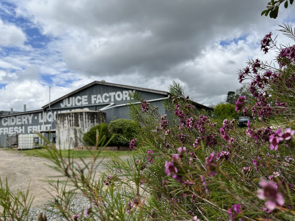リンゴ園でリンゴジュースとアップルパイSutton’s Juice Factory