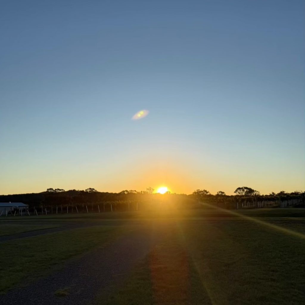 地平線に沈む夕日