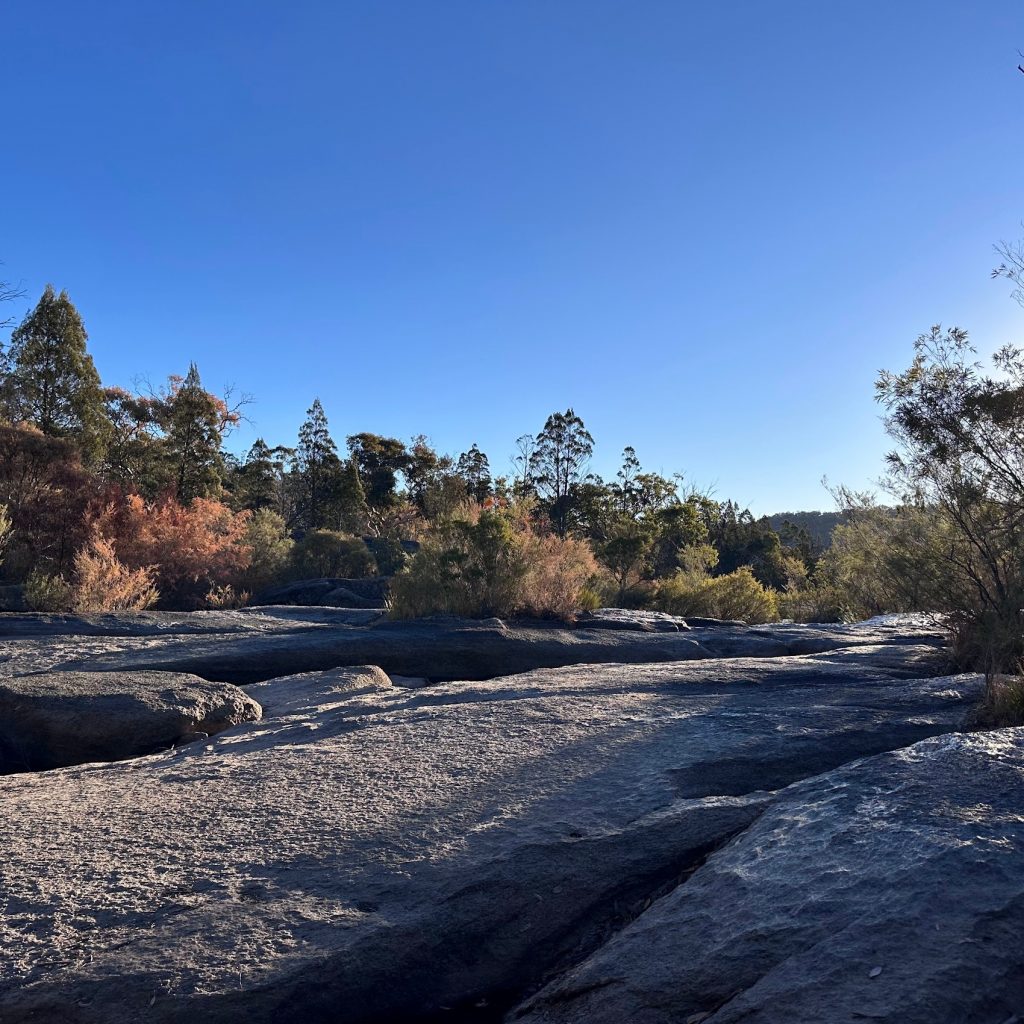 2億4700万年前の花崗岩が育てた産地。「Granite Belt」という名前の由来