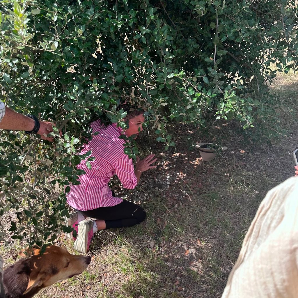 木の根元にかがんで土を探る人